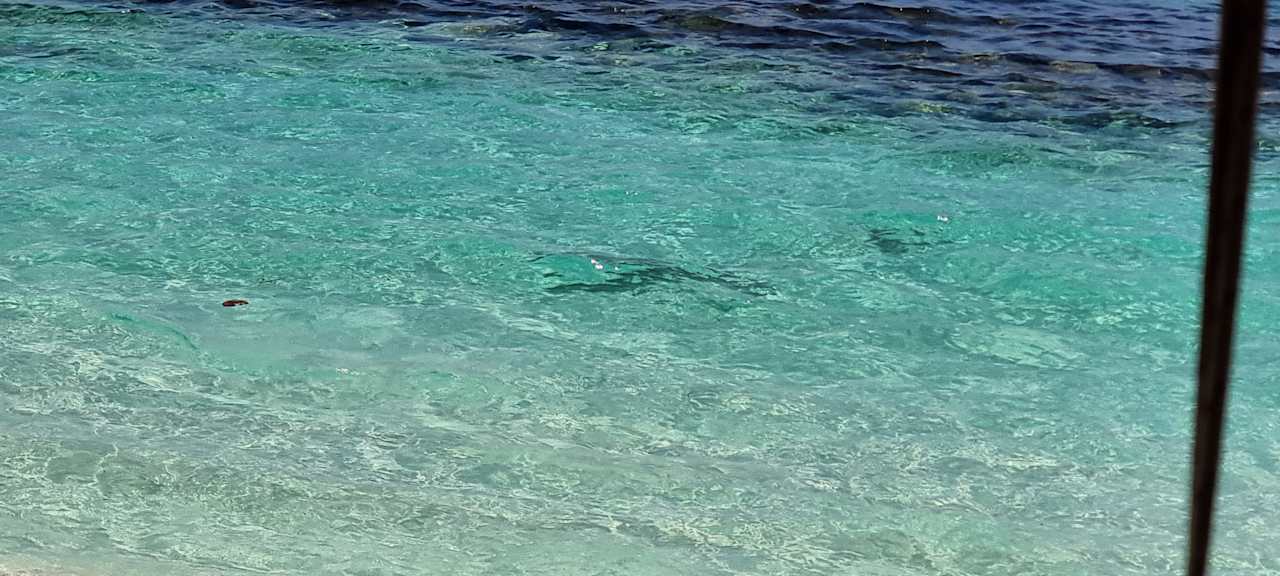 Strand Dreamland The Unique Sea & Lake Resort / Spa