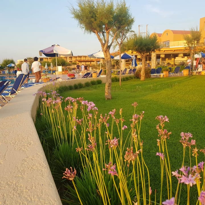 Gartenanlage Calimera Sirens Beach