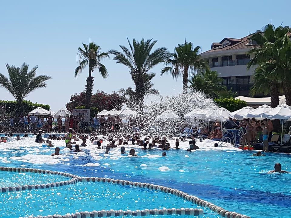 Pool Alba Queen Hotel