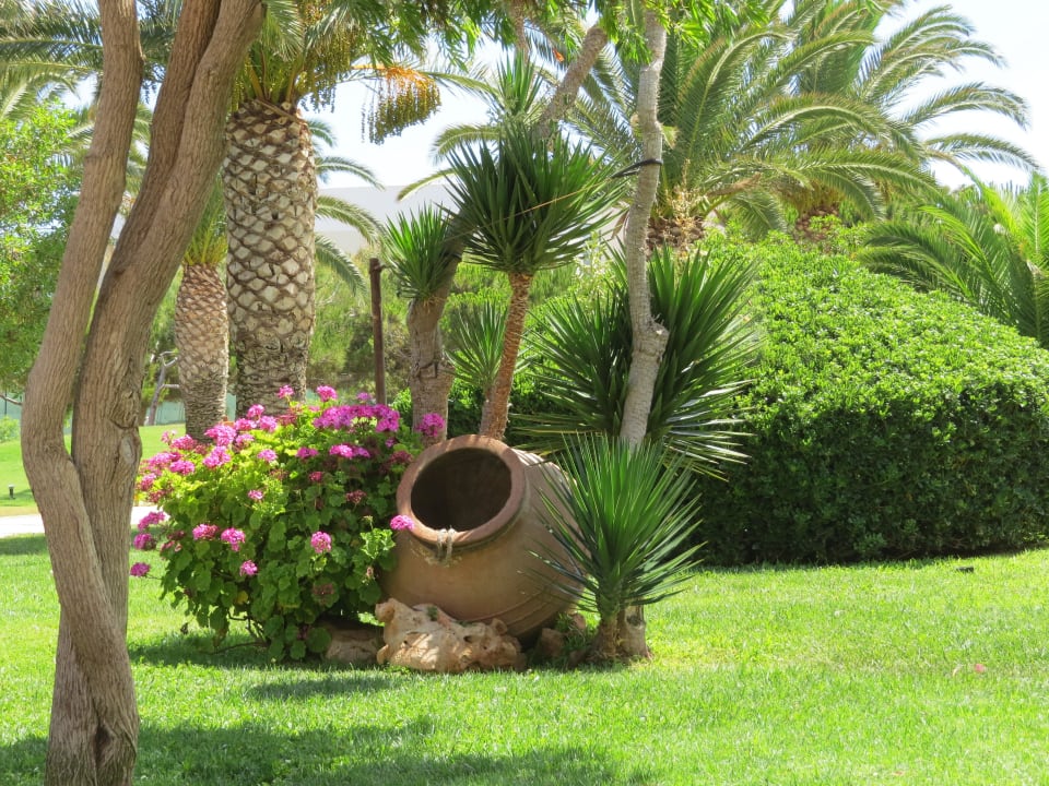 Mit Liebe zum Detail Anissa Beach & Village