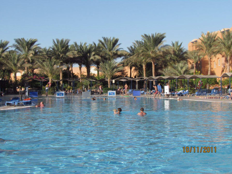 Blick von der Liege Jaz Makadi Oasis Resort