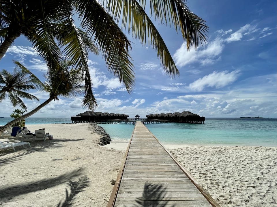 Strand Fihalhohi Maldives