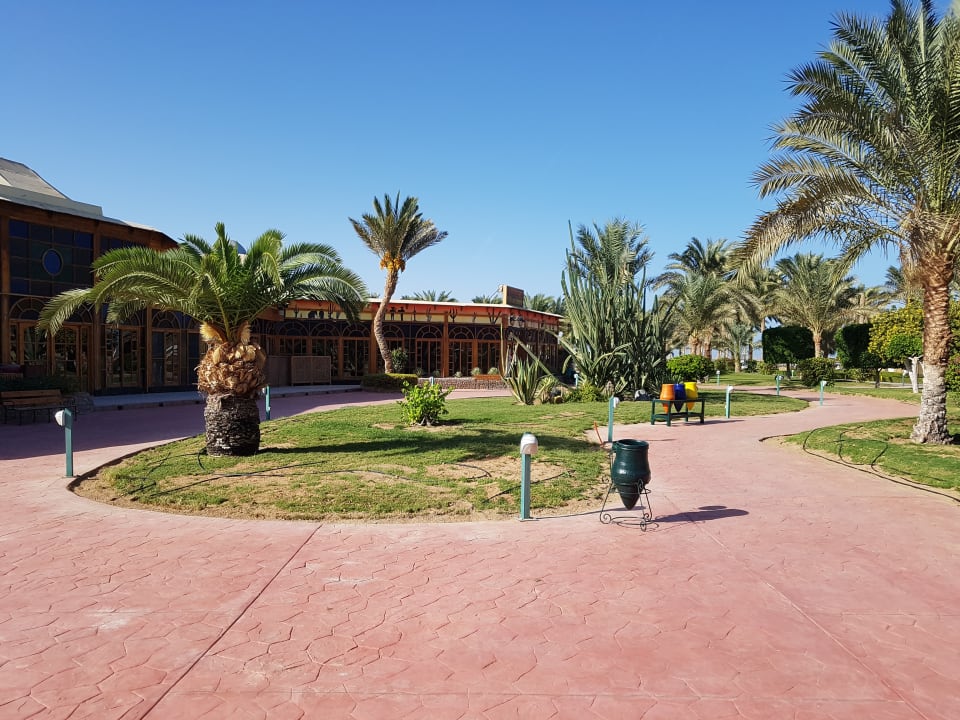 Außenansicht Desert Rose