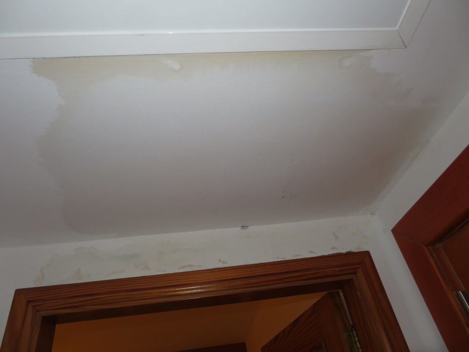 Zimmer Hotel Riu Oliva Beach Resort