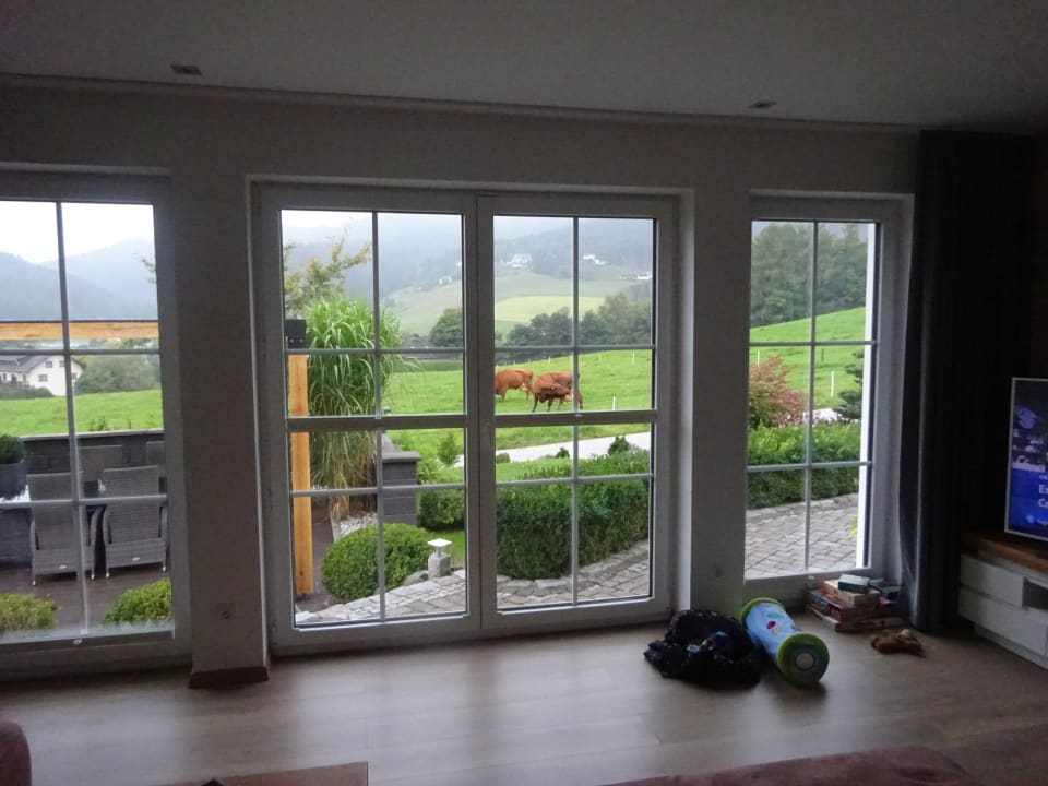 Ausblick Ferienwohnung Emde