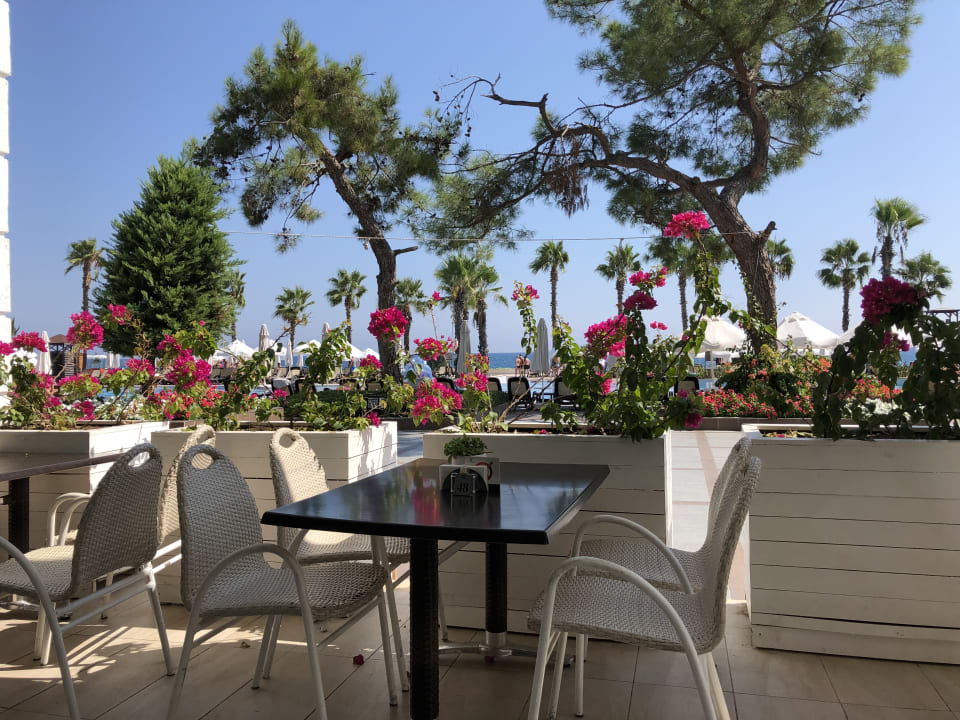 Gastro Sherwood Exclusive Kemer