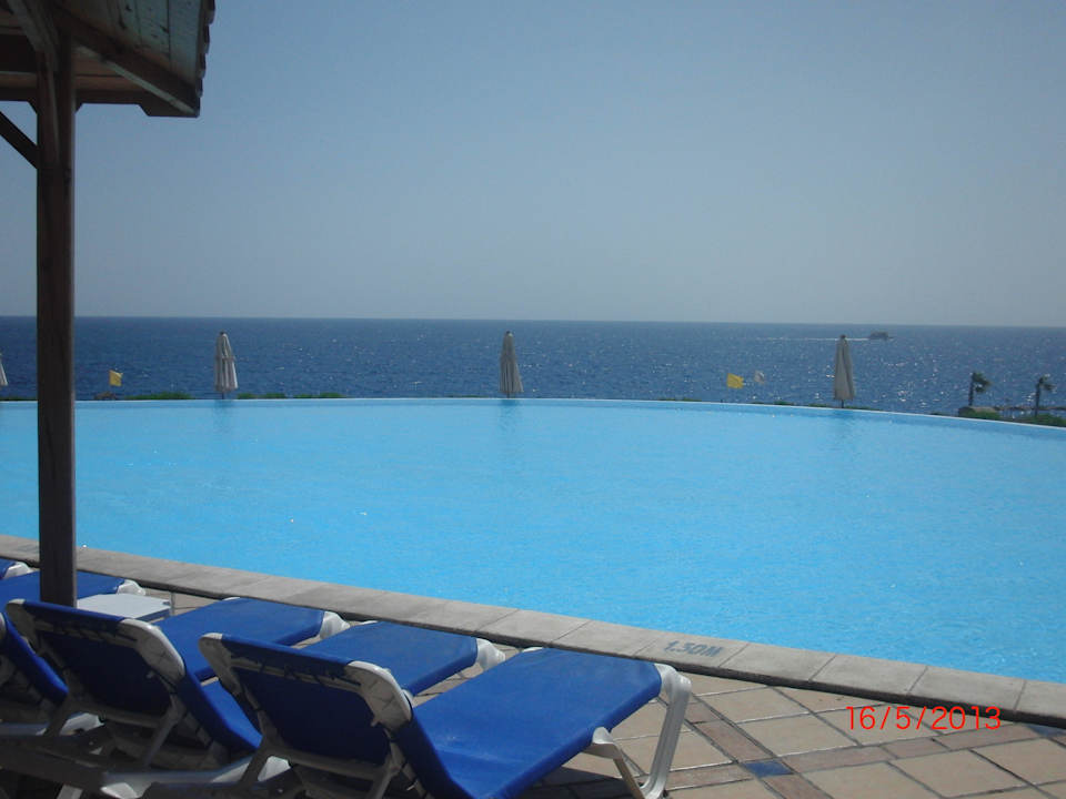 Infinity Pool Pickalbatros Citadel Resort