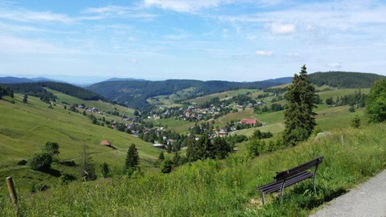 Blick auf Todtnauberg Bühlhof