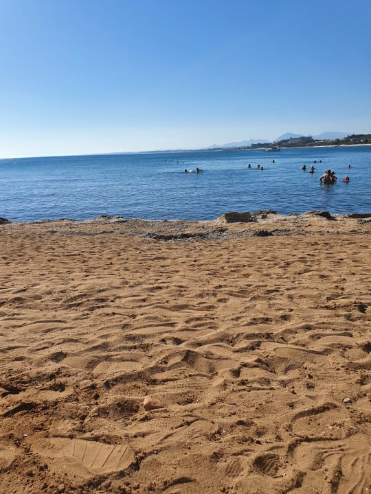 Strand Can Garden Beach
