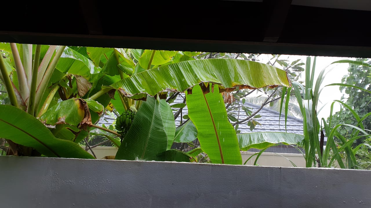 Ausblick Summer Island Maldives