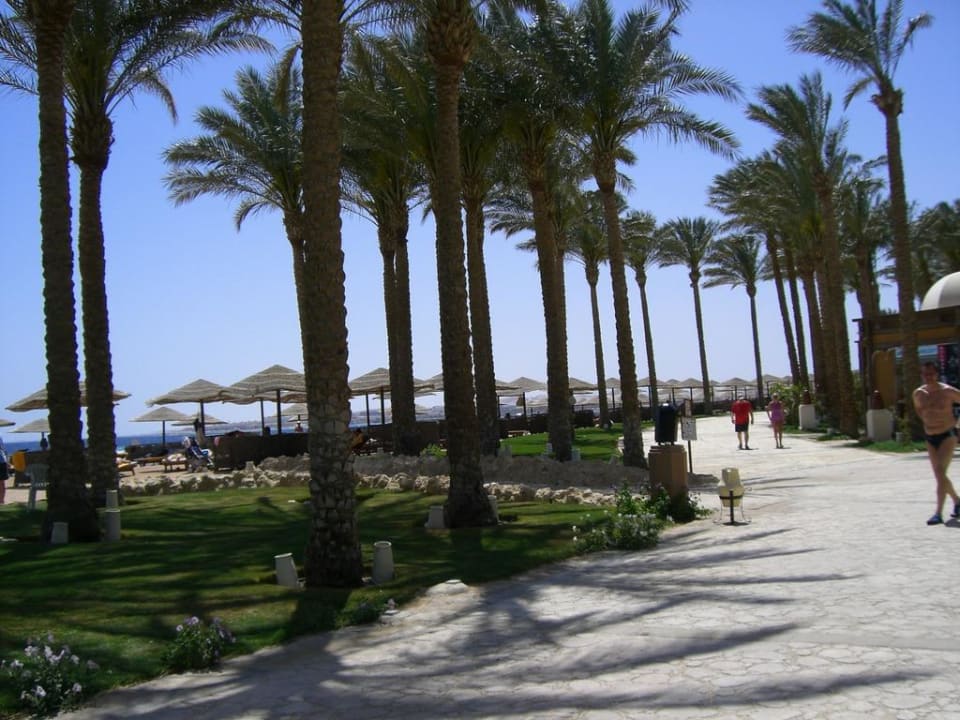 Strandpromenade Makadi Palace