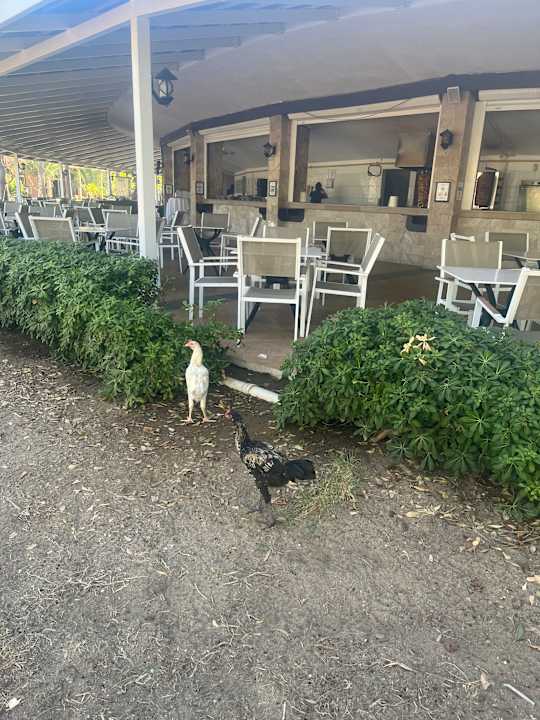 Gastro Seaden Sea World Resort & Spa