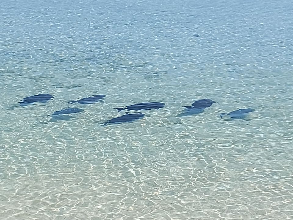 Sport & Freizeit Summer Island Maldives