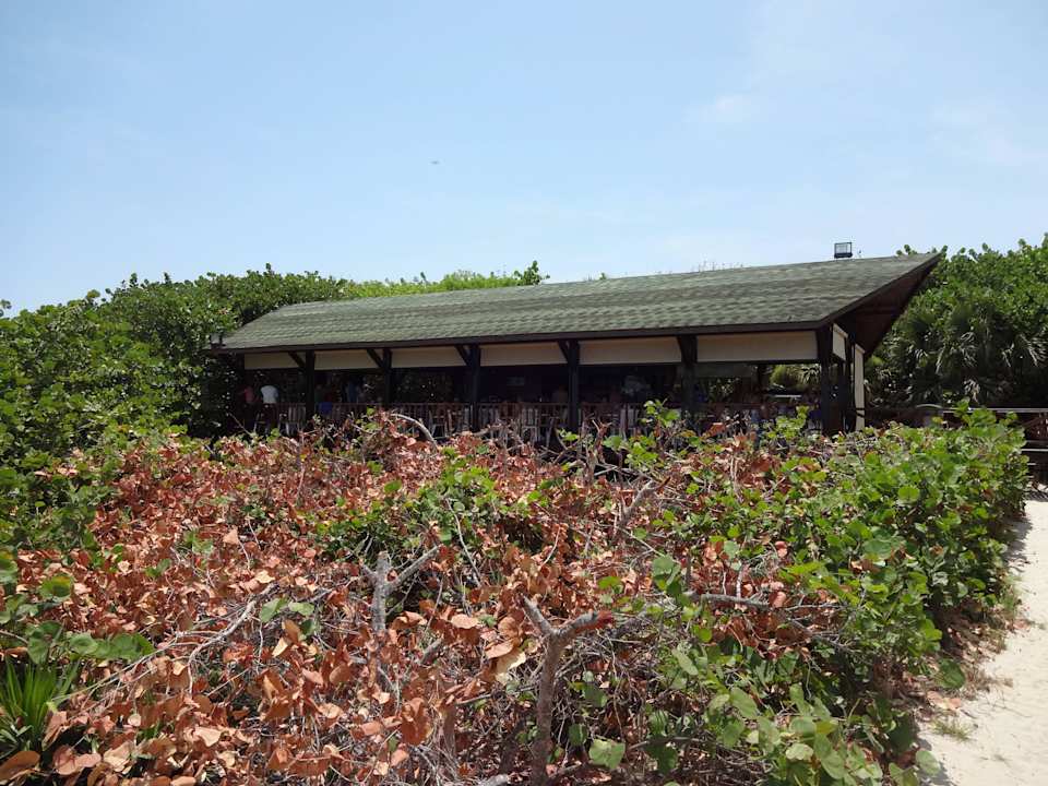 Beachbar Blau varadero - Adults only