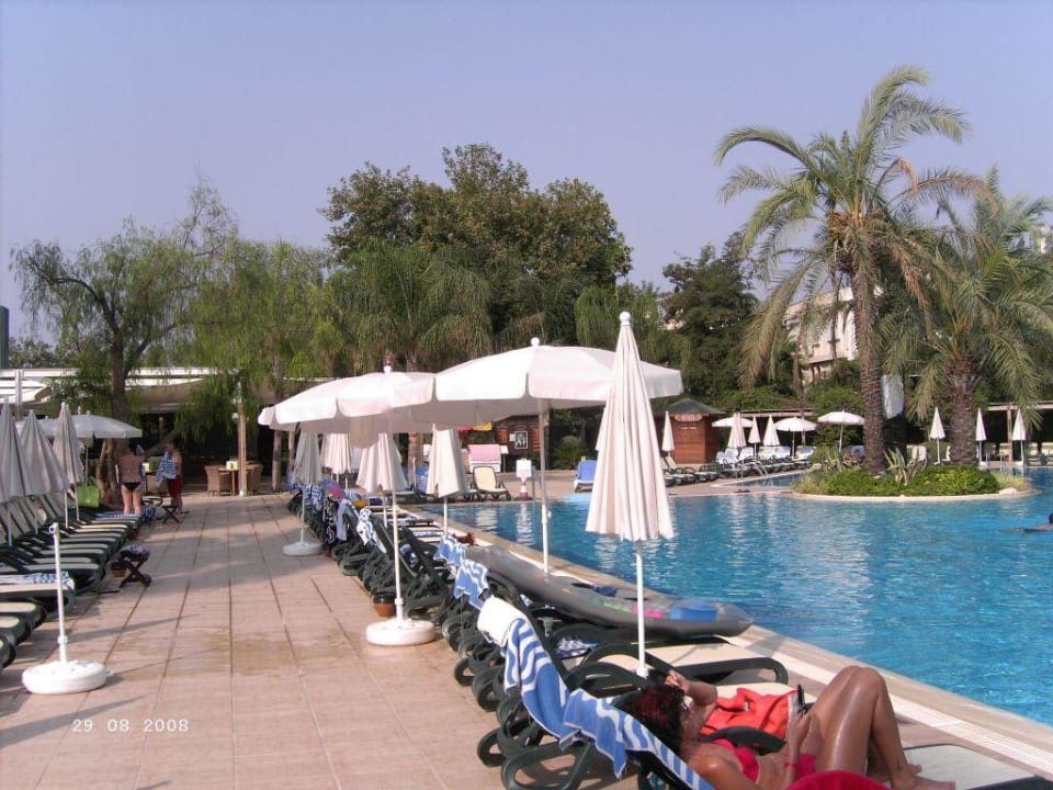 Pool Side Star Elegance
