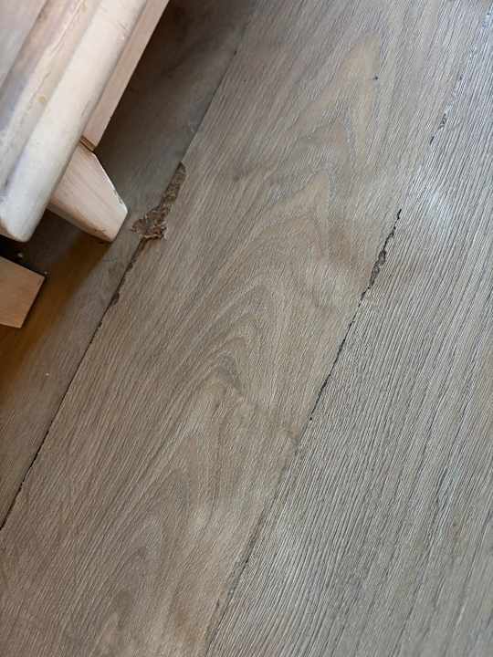 Zimmer Kaya Belek Hotel