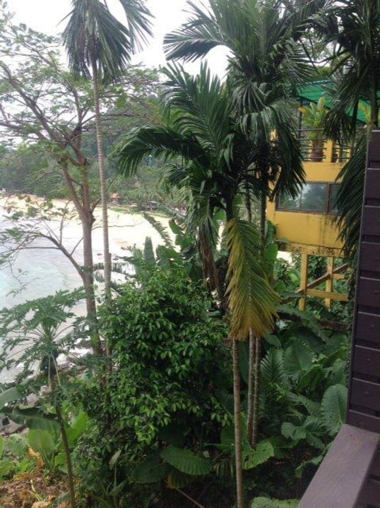 Aussicht von der Anlage zum hoteleigenem Strand Baan Krating Khao Lak Resort