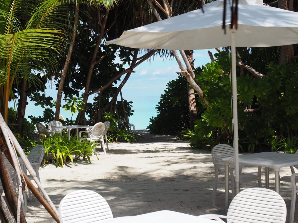 Palm Bar Kuramathi Maldives