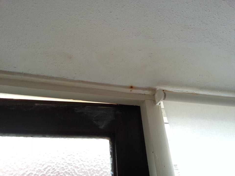 Eingangstür rechts, Decke Pension Maaike