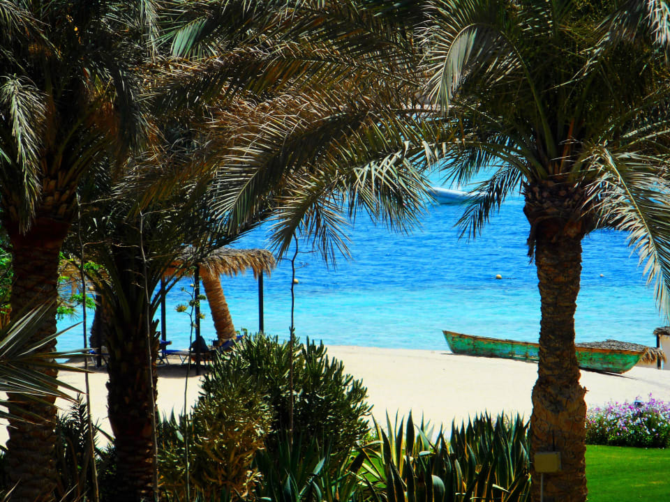 Ein Traum Steigenberger Coraya Beach - Adults only