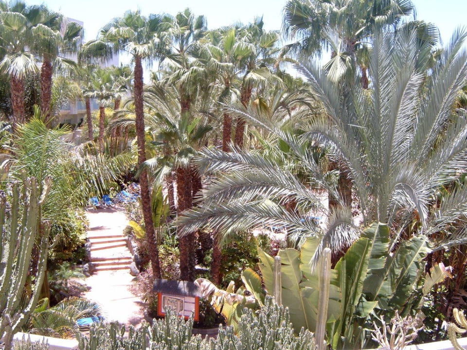 Palmengarten Maspalomas Princess