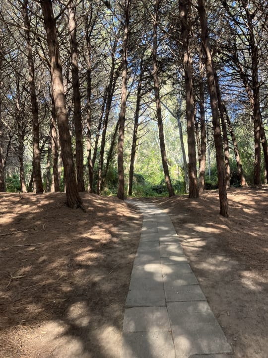 Gartenanlage Hotel Le Palme