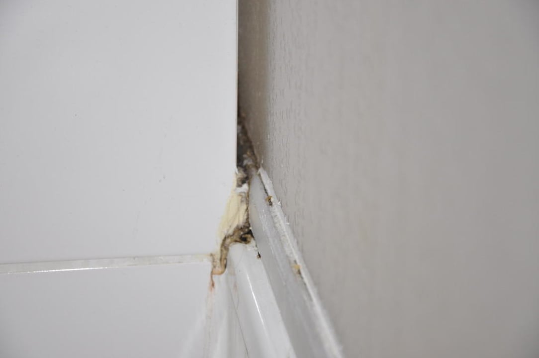 Und noch mehr Schimmel in der Dusche Hotel Domicil Hamburg by Golden Tulip