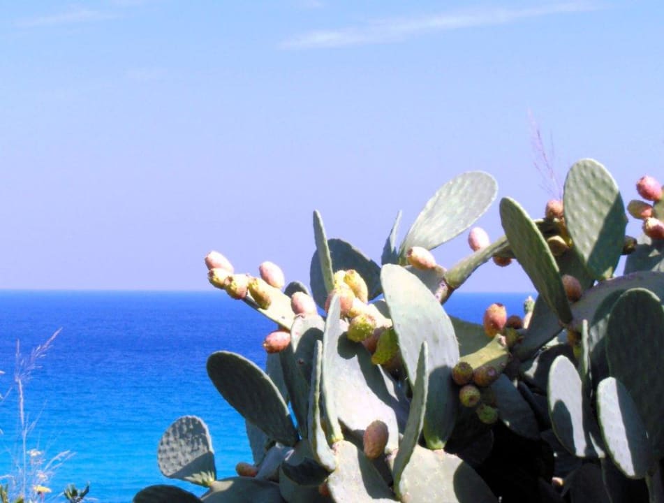 Blick von der Hotelanlage Aldiana Club Rocca Nettuno Calabria
