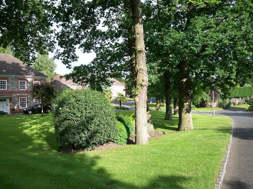 Umgebung Hotel The Bull