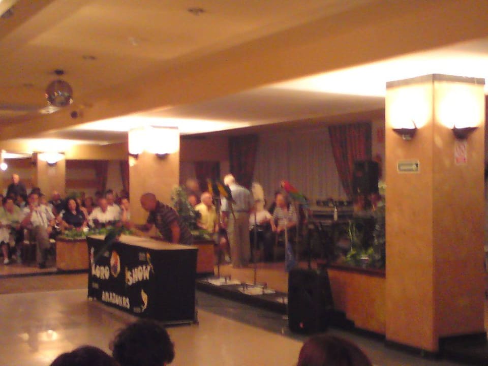 Hotel-Animation am Abend Hotel Best Oasis Park