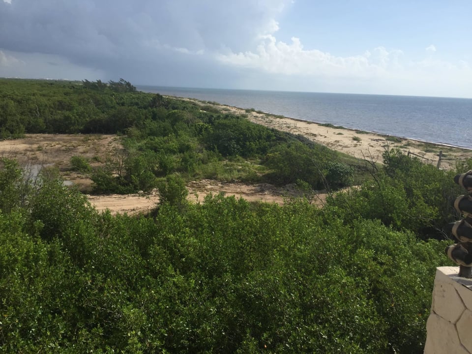 Widok z okna na morze Hideaway at Royalton Riviera Cancun