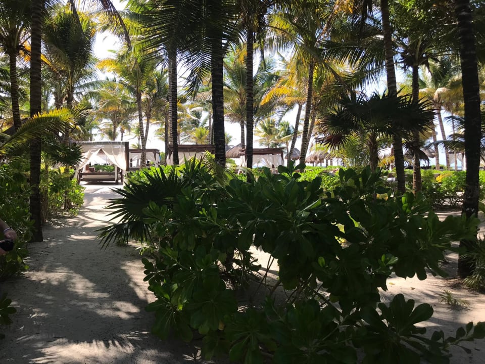 Gartenanlage TRS Yucatan Hotel - Adults only