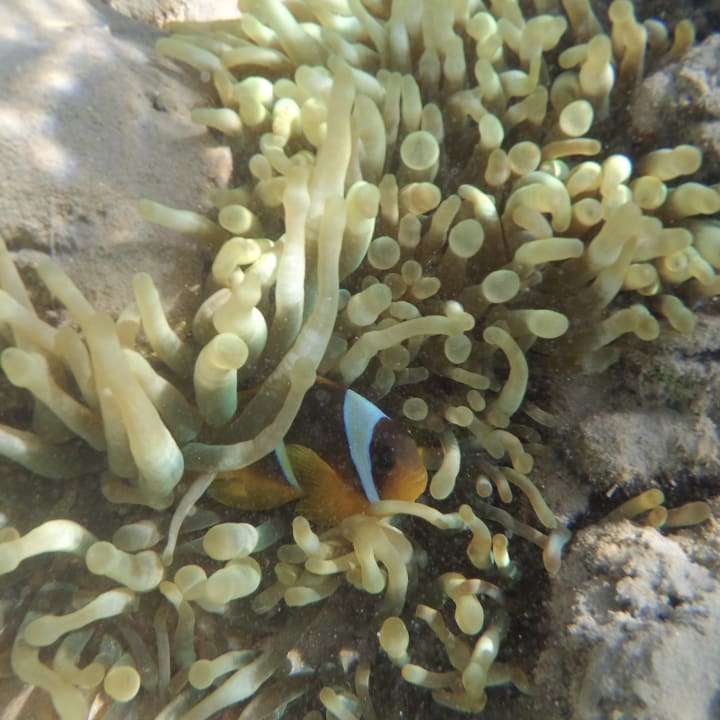 Sport & Freizeit Grand Waterworld Makadi & Family Star Makadi