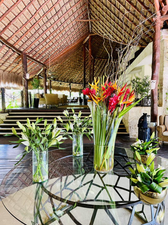 Lobby Akumal Bay Beach & Wellness Resort