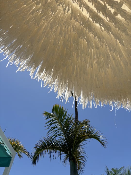 Ausblick Hotel Riu Palace Meloneras