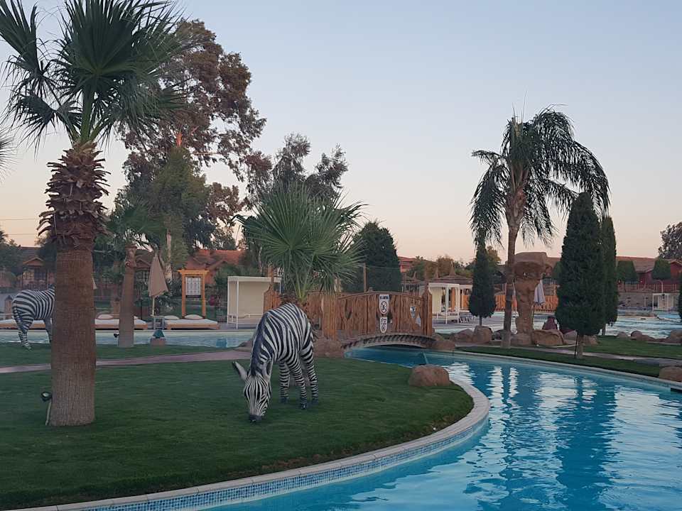 Pool Pickalbatros Jungle Aqua Park Resort - Neverland Hurghada