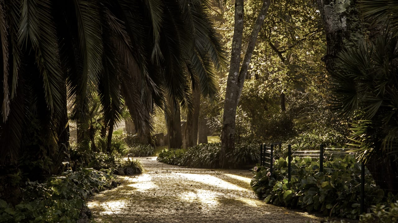 Gartenanlage Sintra Marmoris Palace