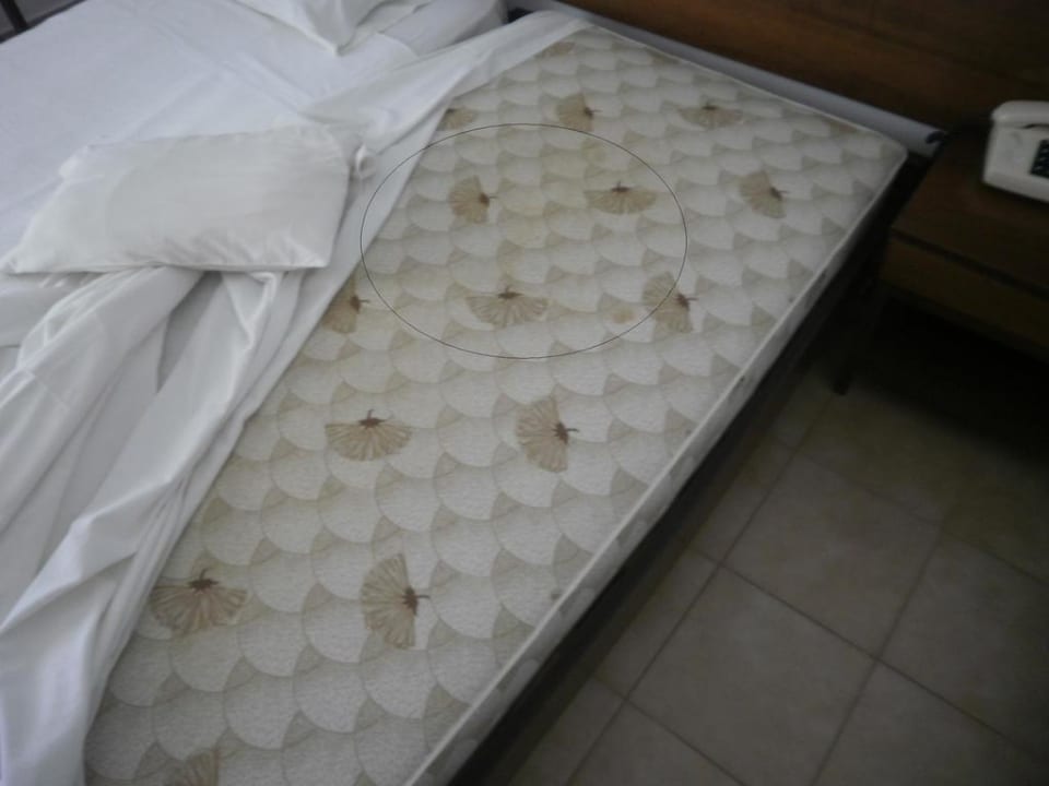 Die vollgepisste Matratze Hotel Koala