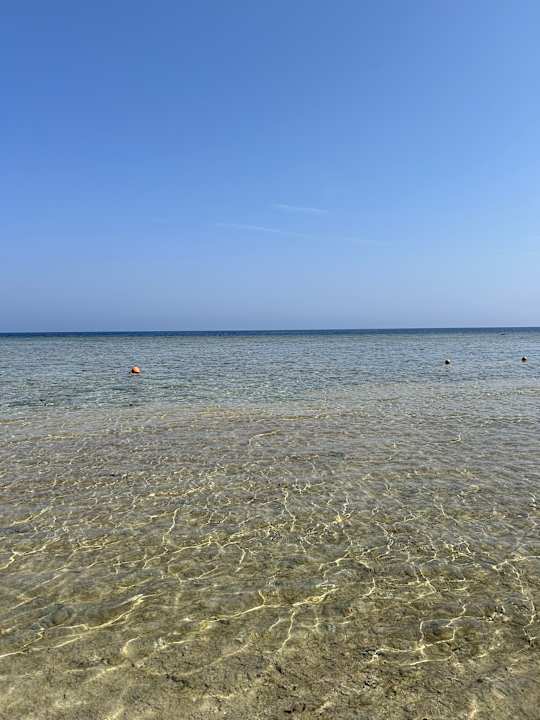 Strand Pickalbatros Palace Hotel-Port Ghalib