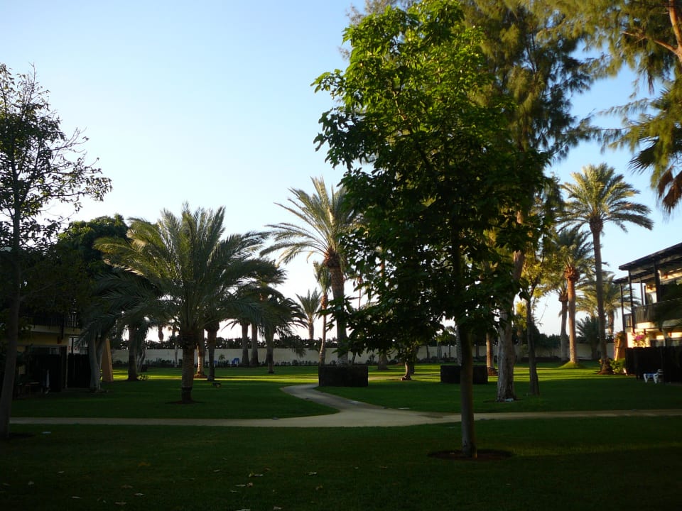 Blick vom Zimmer in den Garten ROBINSON JANDIA PLAYA