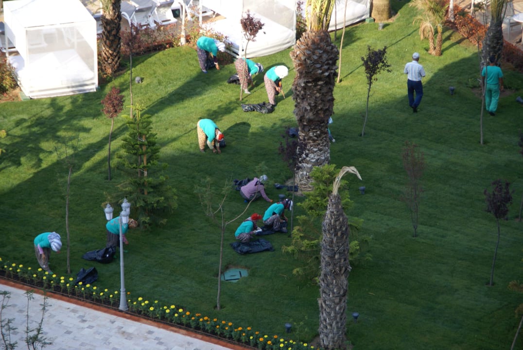 Tuinonderhoud Hotel Delphin Imperial