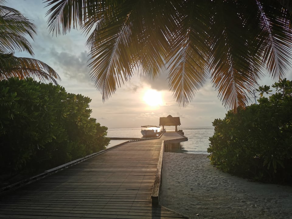 Ausblick Kuramathi Maldives