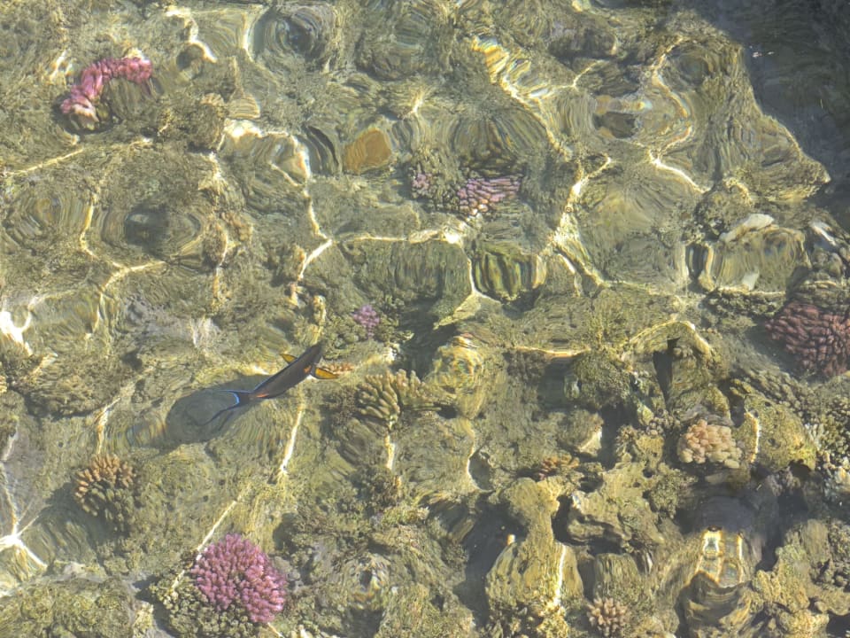 Strand Casa Mare Resort