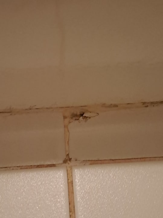 Zimmer Occidental Boa Vista Beach