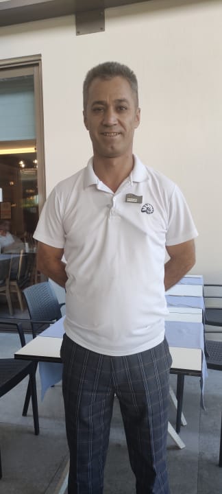 Gastro Seashell Vega