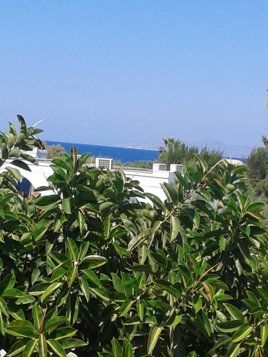 Blick vom Zimmer  TUI KIDS CLUB Alex Beach