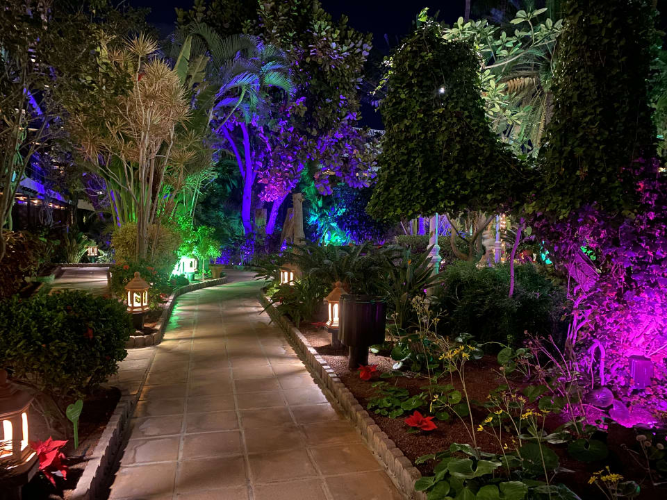 Gartenanlage Hotel Parque Tropical