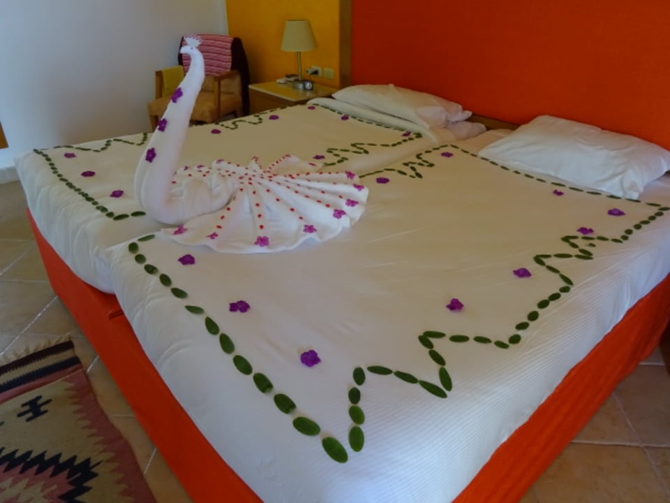 Zimmer Hotel Gorgonia Beach Resort