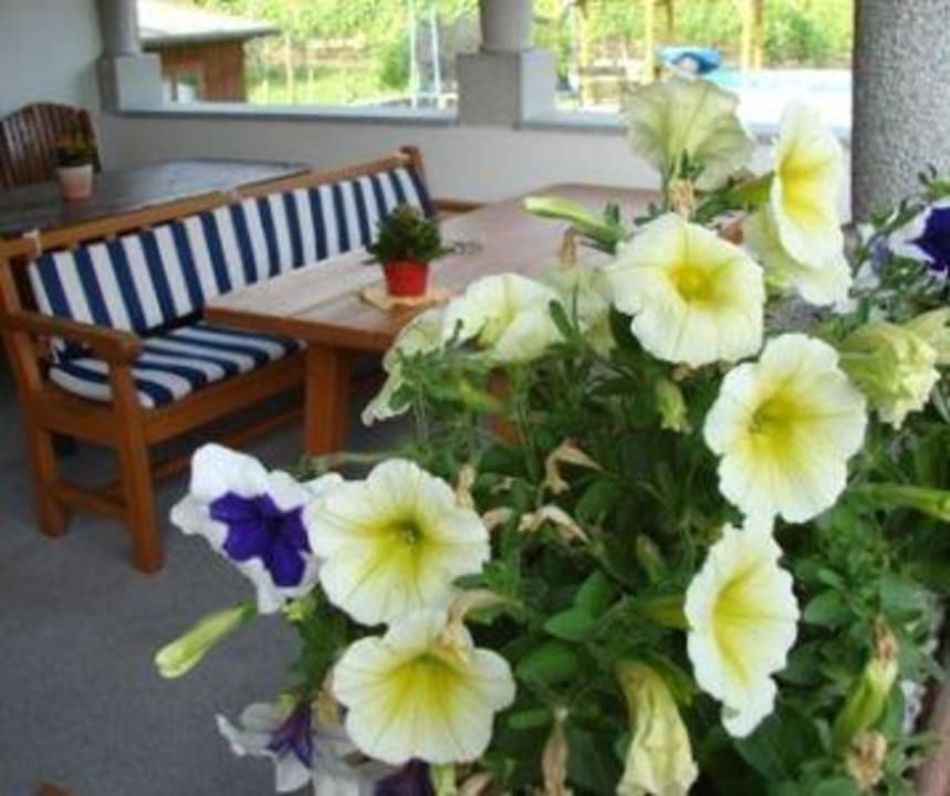 Terrasse  Gästehaus Weinbergblick