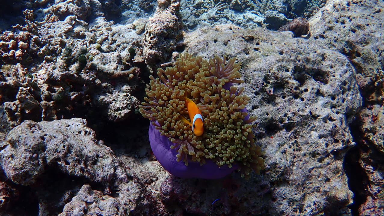 Sport & Freizeit Banyan Tree Vabbinfaru